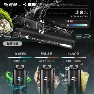 WAGOO KIS5 哇酷雙味 一次性電子煙｜6500 + 6500｜雙芯雙倉｜口味-冰泉水