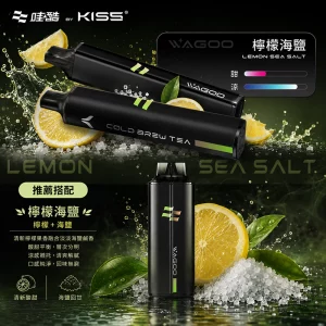 WAGOO KIS5 哇酷雙味 一次性電子煙｜6500 + 6500｜雙芯雙倉｜口味-檸檬海鹽