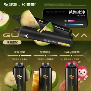 WAGOO KIS5 哇酷雙味 一次性電子煙｜6500 + 6500｜雙芯雙倉｜口味-芭樂冰沙