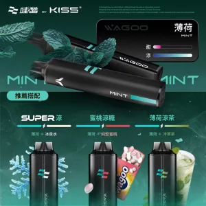 WAGOO KIS5 哇酷雙味 一次性電子煙｜6500 + 6500｜雙芯雙倉｜口味-薄荷