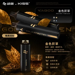 WAGOO KIS5 哇酷雙味 一次性電子煙｜6500 + 6500｜雙芯雙倉｜口味-金色菸草