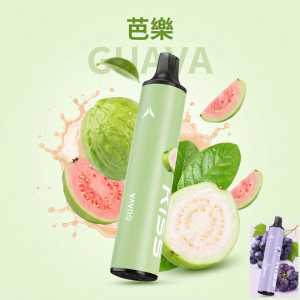 一次性電子煙｜KIS5鎧斯5號｜6500口｜型別-C充電｜3%濃度｜口味-芭樂